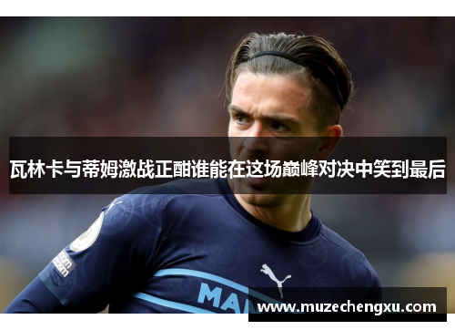 瓦林卡与蒂姆激战正酣谁能在这场巅峰对决中笑到最后