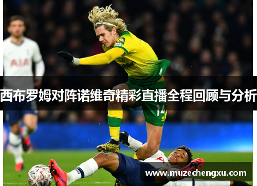 西布罗姆对阵诺维奇精彩直播全程回顾与分析
